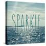 Sparkle In The Ocean-Sarah Gardner-Stretched Canvas