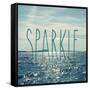 Sparkle In The Ocean-Sarah Gardner-Framed Stretched Canvas