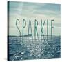 Sparkle In The Ocean-Sarah Gardner-Stretched Canvas