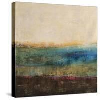 Sparkle Marsh-Clayton Rabo-Stretched Canvas