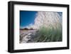 Sparkle-water shot of a wave off a Hawaiian beach-Mark A Johnson-Framed Photographic Print