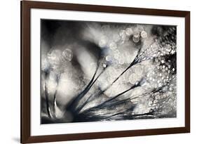 Sparklers-Ursula Abresch-Framed Photographic Print