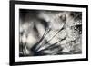 Sparklers-Ursula Abresch-Framed Photographic Print