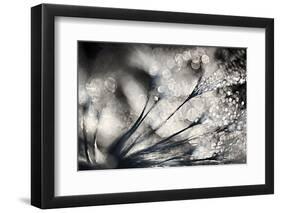 Sparklers-Ursula Abresch-Framed Photographic Print