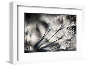 Sparklers-Ursula Abresch-Framed Photographic Print