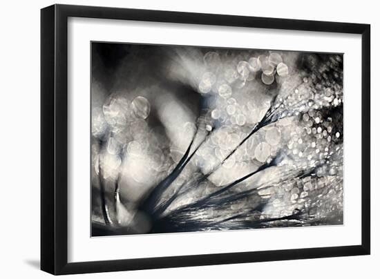 Sparklers-Ursula Abresch-Framed Photographic Print