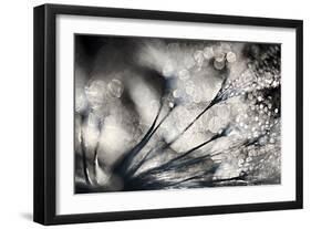 Sparklers-Ursula Abresch-Framed Photographic Print