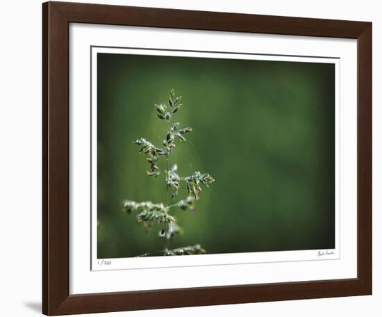 Sparkley-Michelle Wermuth-Framed Giclee Print