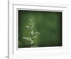 Sparkley-Michelle Wermuth-Framed Giclee Print