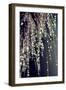 Sparkling Afternoon-Incredi-Framed Giclee Print