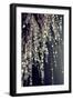 Sparkling Afternoon-Incredi-Framed Giclee Print