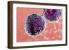 Sparkling Cherries. an Image of Cherries Covered with Bubbles in the Water. the Color Tone of the B-Jne Valokuvaus-Framed Photographic Print