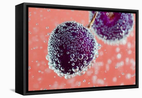 Sparkling Cherries. an Image of Cherries Covered with Bubbles in the Water. the Color Tone of the B-Jne Valokuvaus-Framed Stretched Canvas