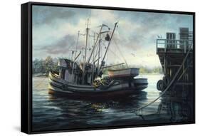 Sparkling Fish Nets-Nicky Boehme-Framed Stretched Canvas