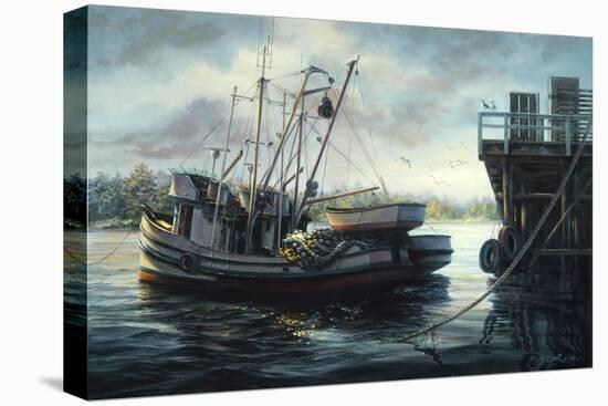 Sparkling Fish Nets-Nicky Boehme-Stretched Canvas