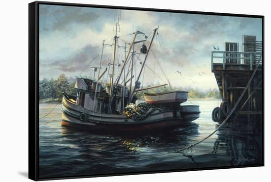 Sparkling Fish Nets-Nicky Boehme-Framed Stretched Canvas