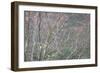 Sparkling Raindrops I-Kathy Mahan-Framed Photographic Print