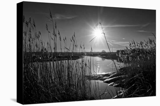 Sparkling Sunrise-Adrian Campfield-Stretched Canvas