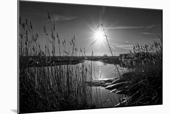 Sparkling Sunrise-Adrian Campfield-Mounted Premium Photographic Print