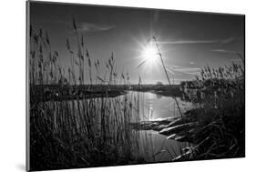 Sparkling Sunrise-Adrian Campfield-Mounted Premium Photographic Print