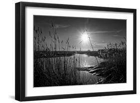 Sparkling Sunrise-Adrian Campfield-Framed Photographic Print