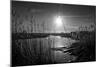 Sparkling Sunrise-Adrian Campfield-Mounted Photographic Print