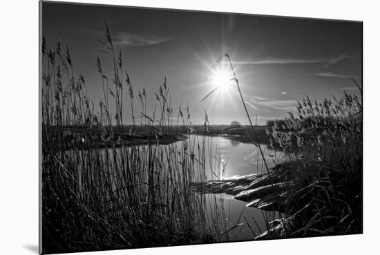 Sparkling Sunrise-Adrian Campfield-Mounted Photographic Print