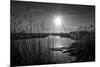 Sparkling Sunrise-Adrian Campfield-Mounted Photographic Print