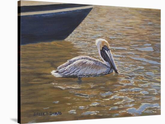 Sparkling Water Pelican-Bruce Dumas-Stretched Canvas