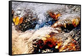 Sparkling Water-Ursula Abresch-Framed Stretched Canvas