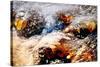 Sparkling Water-Ursula Abresch-Stretched Canvas