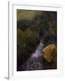 Sparkling Water-Bill Makinson-Framed Giclee Print