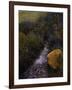 Sparkling Water-Bill Makinson-Framed Giclee Print