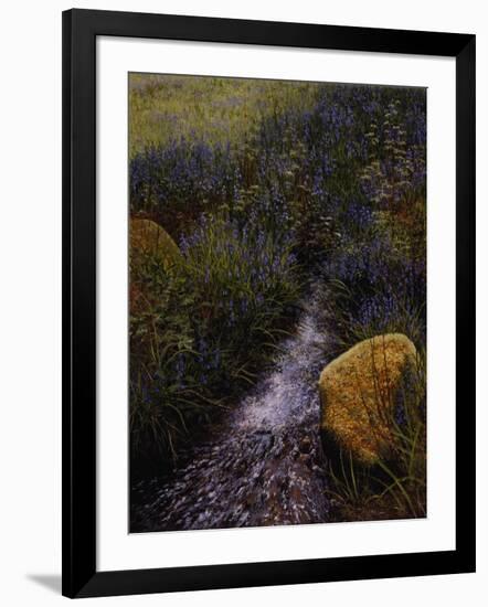 Sparkling Water-Bill Makinson-Framed Giclee Print