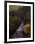 Sparkling Water-Bill Makinson-Framed Giclee Print