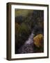 Sparkling Water-Bill Makinson-Framed Giclee Print