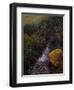 Sparkling Water-Bill Makinson-Framed Giclee Print