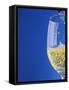 Sparkling Wine Effervescing as It is Poured into a Glass-Steven Morris-Framed Stretched Canvas