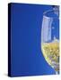 Sparkling Wine Effervescing as It is Poured into a Glass-Steven Morris-Stretched Canvas