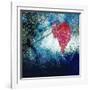 Sparkly Fall-Ursula Abresch-Framed Photographic Print