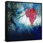 Sparkly Fall-Ursula Abresch-Framed Stretched Canvas