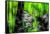 Sparkly Reeds-Ursula Abresch-Framed Stretched Canvas