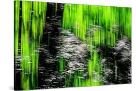 Sparkly Reeds-Ursula Abresch-Stretched Canvas