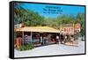 Sparkman's Orange Shop, Sumtervlle, Florida-null-Framed Stretched Canvas