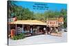 Sparkman's Orange Shop, Sumtervlle, Florida-null-Stretched Canvas