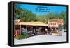 Sparkman's Orange Shop, Sumtervlle, Florida-null-Framed Stretched Canvas