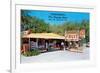 Sparkman's Orange Shop, Sumtervlle, Florida-null-Framed Premium Giclee Print