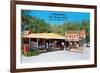 Sparkman's Orange Shop, Sumtervlle, Florida-null-Framed Premium Giclee Print