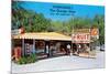 Sparkman's Orange Shop, Sumtervlle, Florida-null-Mounted Premium Giclee Print