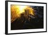 Sparks from an Acetylene Cutting Torch Fall onto Broken Steel Girders in Demolition A…, 1990 (Photo-Nathan Benn-Framed Giclee Print